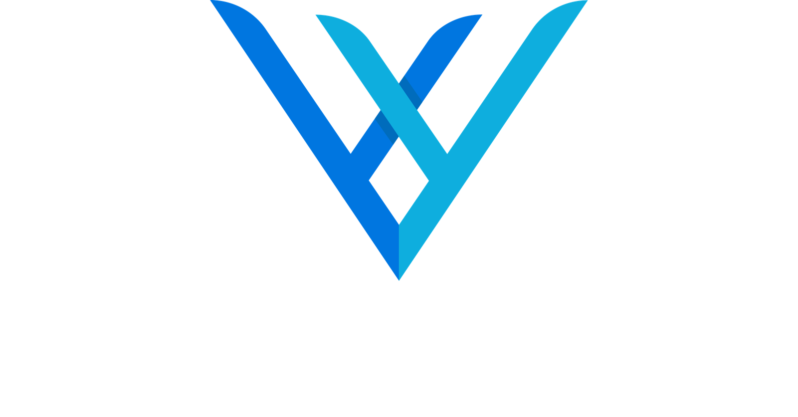 Valyrian Private Wealth (VPWealth): Expert Wealth Management and Comprehensive Strategic Solutions