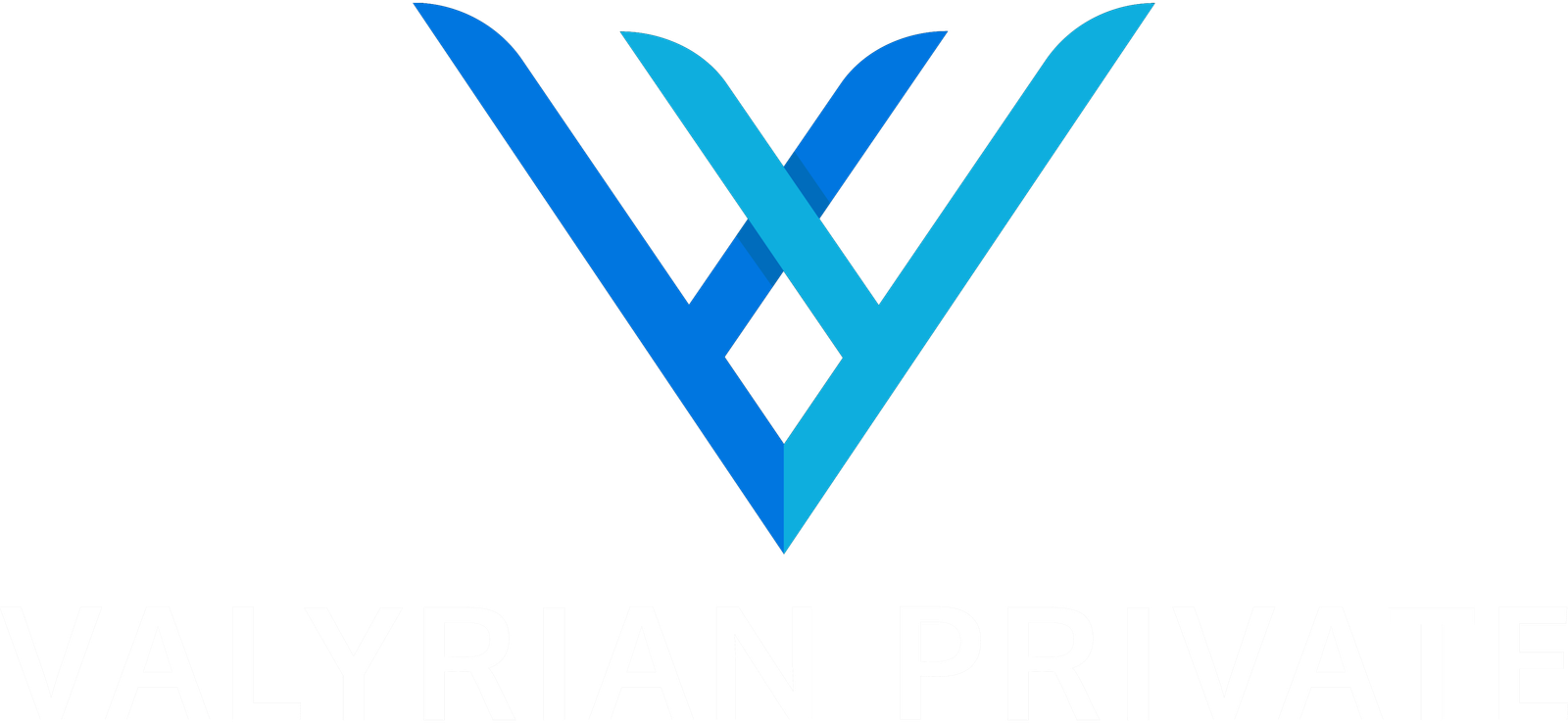 Valyrian Private Wealth (VPWealth): Expert Wealth Management and Comprehensive Strategic Solutions